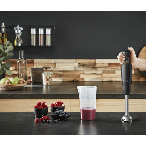 VARINHA MOULINEX ECO RESPECT - DD46E810