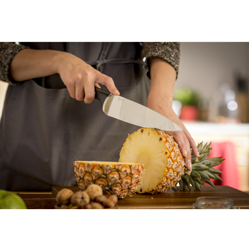 SET 4 FACAS TEFAL ICE FORCE - K2324S74