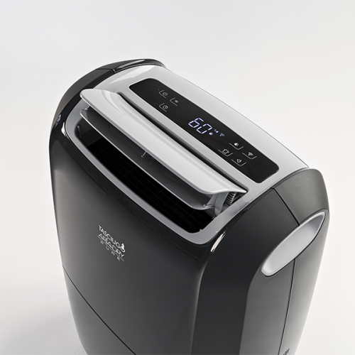 DESUMIDIFICADOR DELONGHI - DDSX220WFA